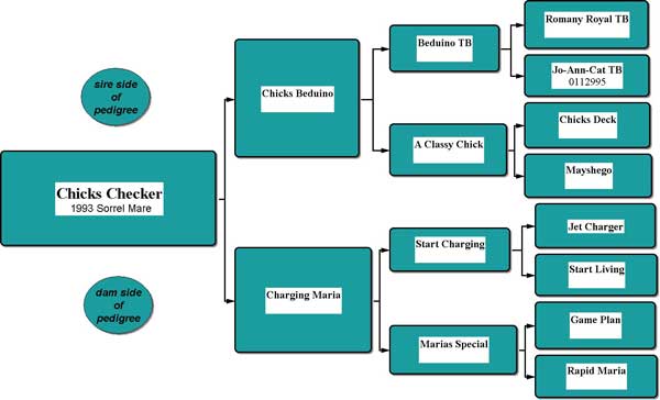 Pedigree of Chicks Checker