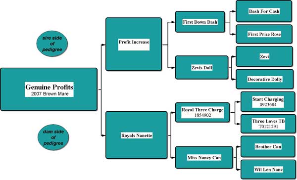 Genuine Profits Pedigree