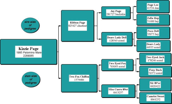 Kizzie Page Pedigree