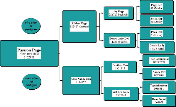 Passion Page Pedigree
