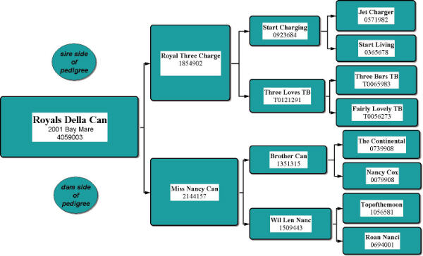 Royals Della Can Pedigree