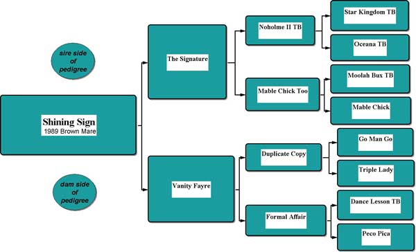 Pedigree of Shining Sign