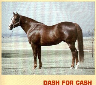 Dash For Cash