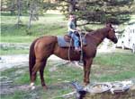 Chance Fields and his mare, Ribbons Danielle, aka Froggy