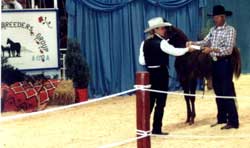 Larry and Royals Danni Leigh x Royal Three Charge winning  the 1999 MBG Sale Halter Futurity
