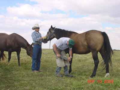 Larry and our farrier, Rich Boyle