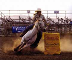 Rockys Dandy Shania