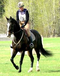 Docs Profit Sea, aka Zander, owned and shown by Leslie Skinner