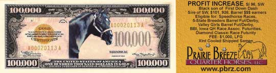 Profit Increase now the sire of Race get earning  $101,926