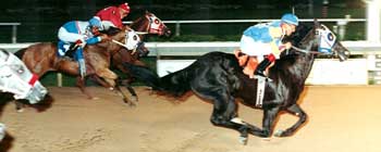 Profit Increase July 1999 at Cy-Fair Stakes Race, Houston TX