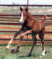 Profits Portia May 3