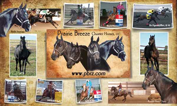 Prairie Breeze Quarter Horses