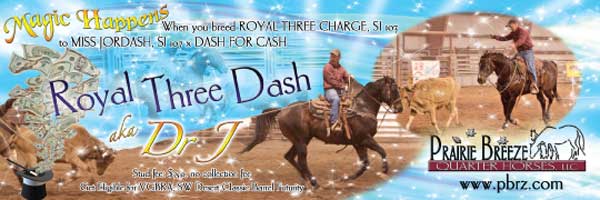 Royal Three Dash banner