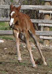 Profits Raquel at 1 week
