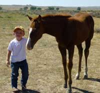 Photo right - Another happy Profit admirer, Jack and Wendy Linford’s grandson, Dash, lovin on Angie Cash’s yearling filly by Profit Increase. 