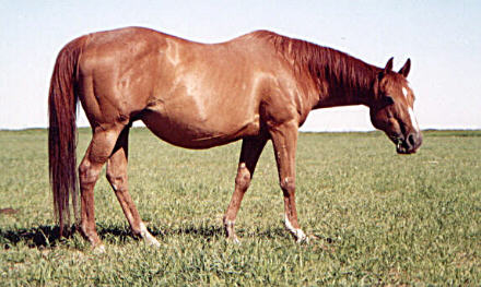 BCR Queen Carlotta
