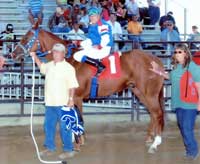 A Cracking Profit, SI 91