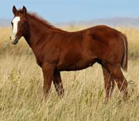 Red Hot Fame Oct 2013