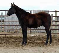 Profits Starpower 2013