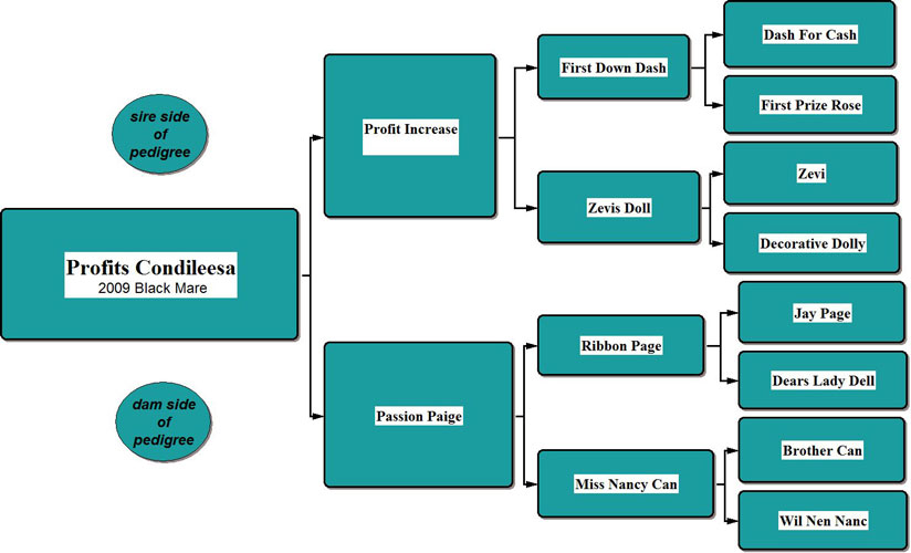 Profits Condileesa Pedigree