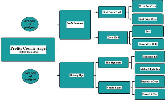 Profits Cosmic Angel Pedigree