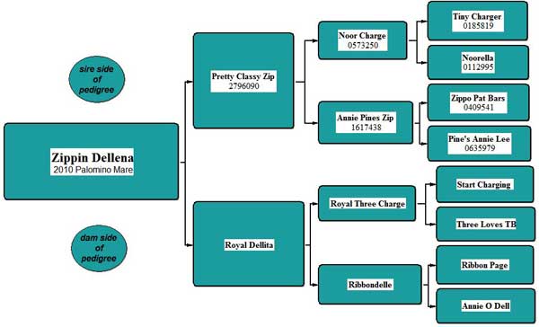 Zippin Dellena pedigree