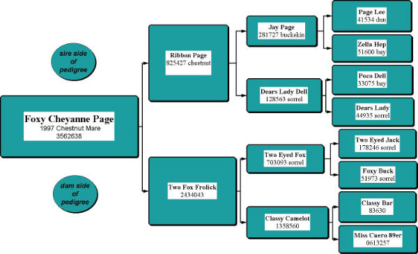 Foxy Cheyenne Page Pedigree