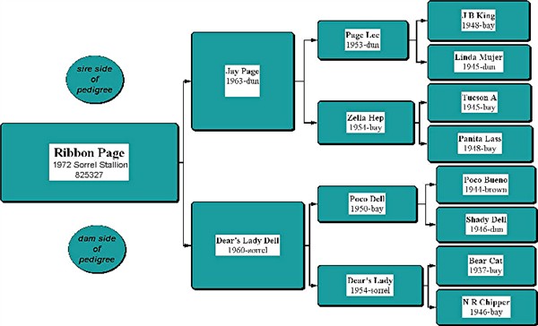 Ribbon Page Pedigree