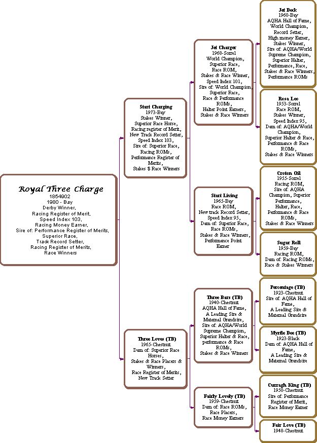 Royal Three Charge pedigree