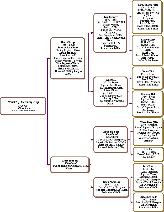 Pretty Classy Zip pedigree