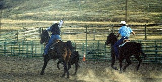 Johnson' roping