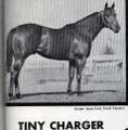Tiny Charger