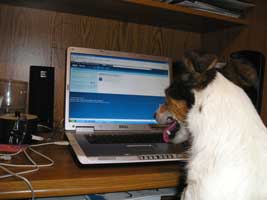 Molly, helping out!