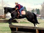 Zander jumping