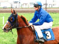 KR Just A Dream and jockey Nate Smith