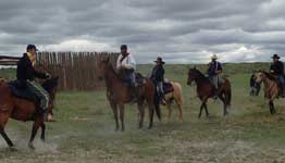 Pat Dailey and his 6 year old gelding, Americans Profit, aka Errol