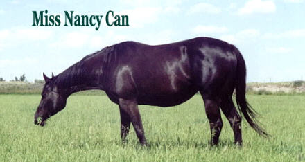 Miss Nancy Can