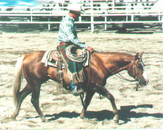 Royal Pagemaster and Shane